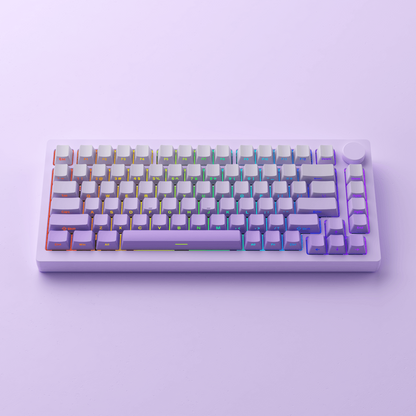 Tastatura mecanica aluminiu Monsgeek M1W V3 SP